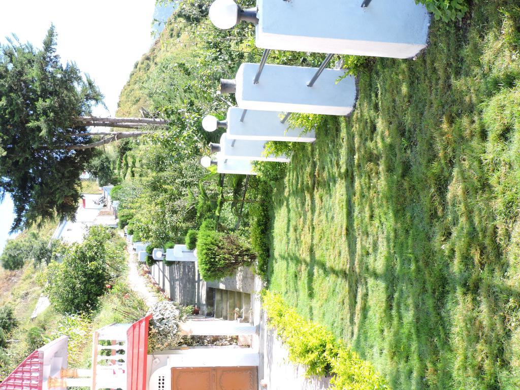 Himalayan Retreat Neelkanth Guest house